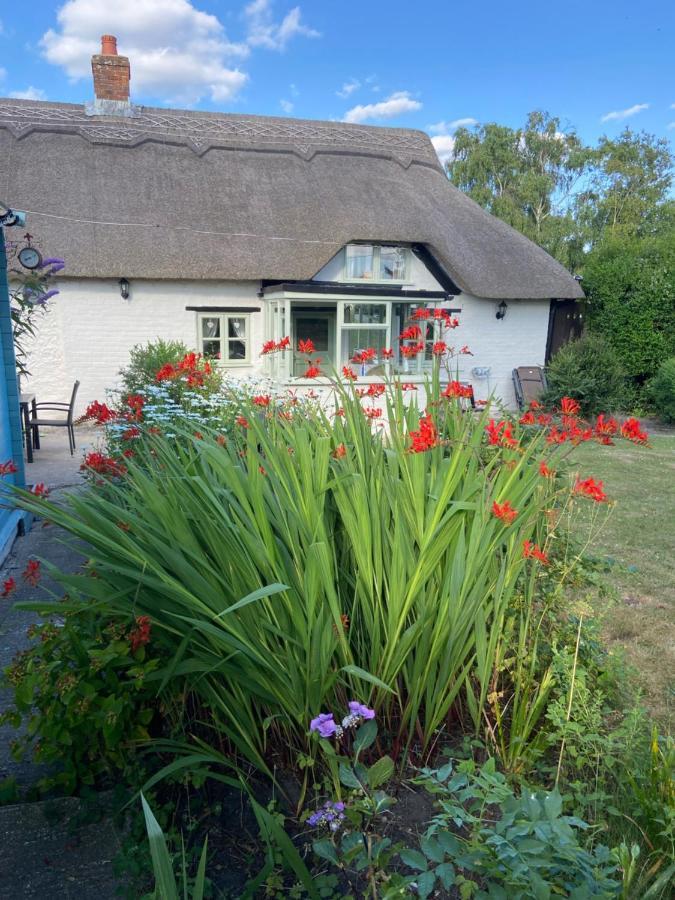 Thatch Cottage, East Boldre Nr Beaulieu And Lymington Brockenhurst Exterior foto